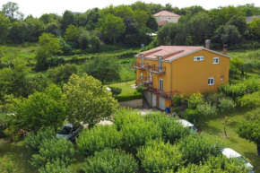Apartments with a parking space Sinj, Zagora - 23403